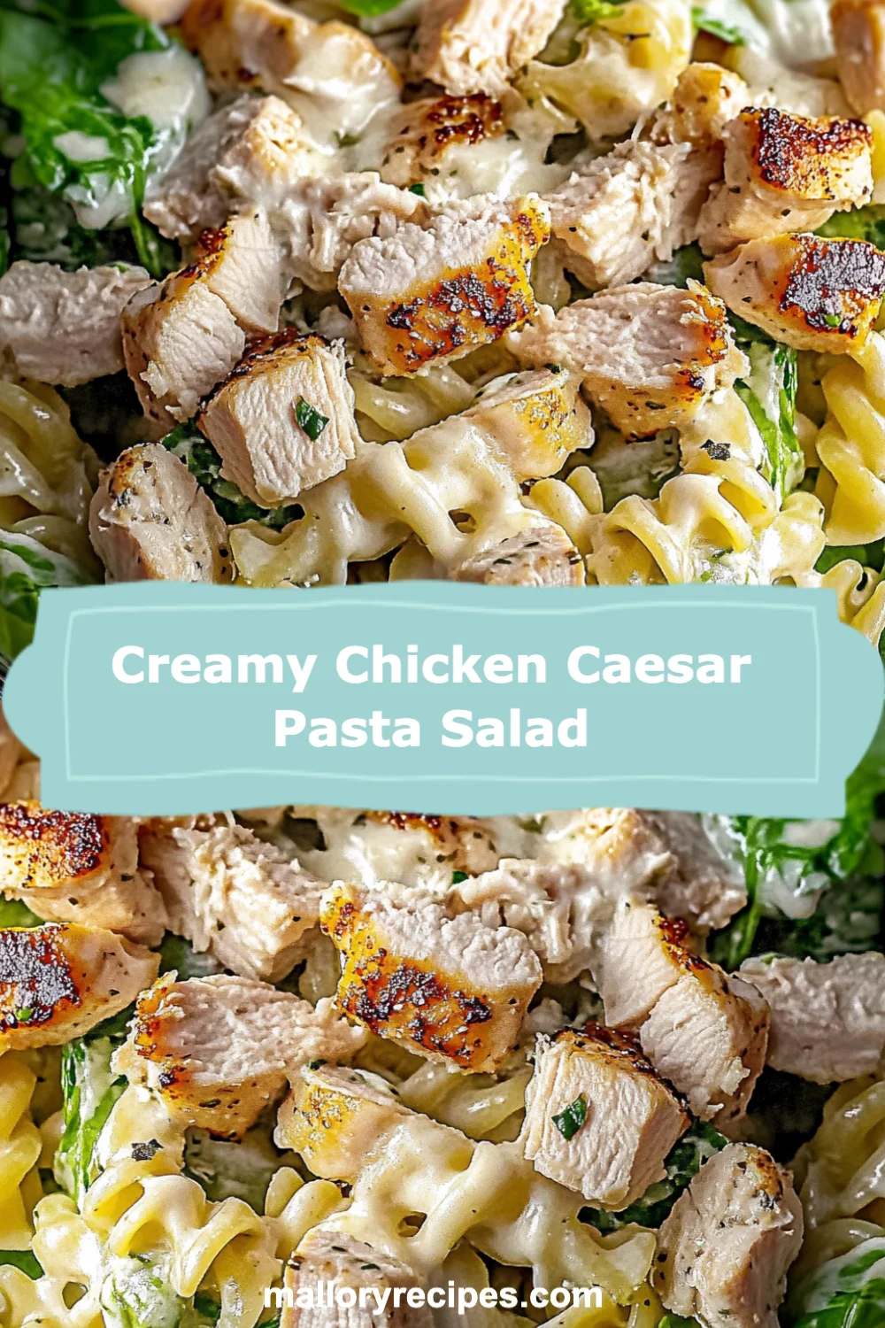 Delicious Creamy Chicken Caesar Pasta Salad Recipe Everyone Will Love!