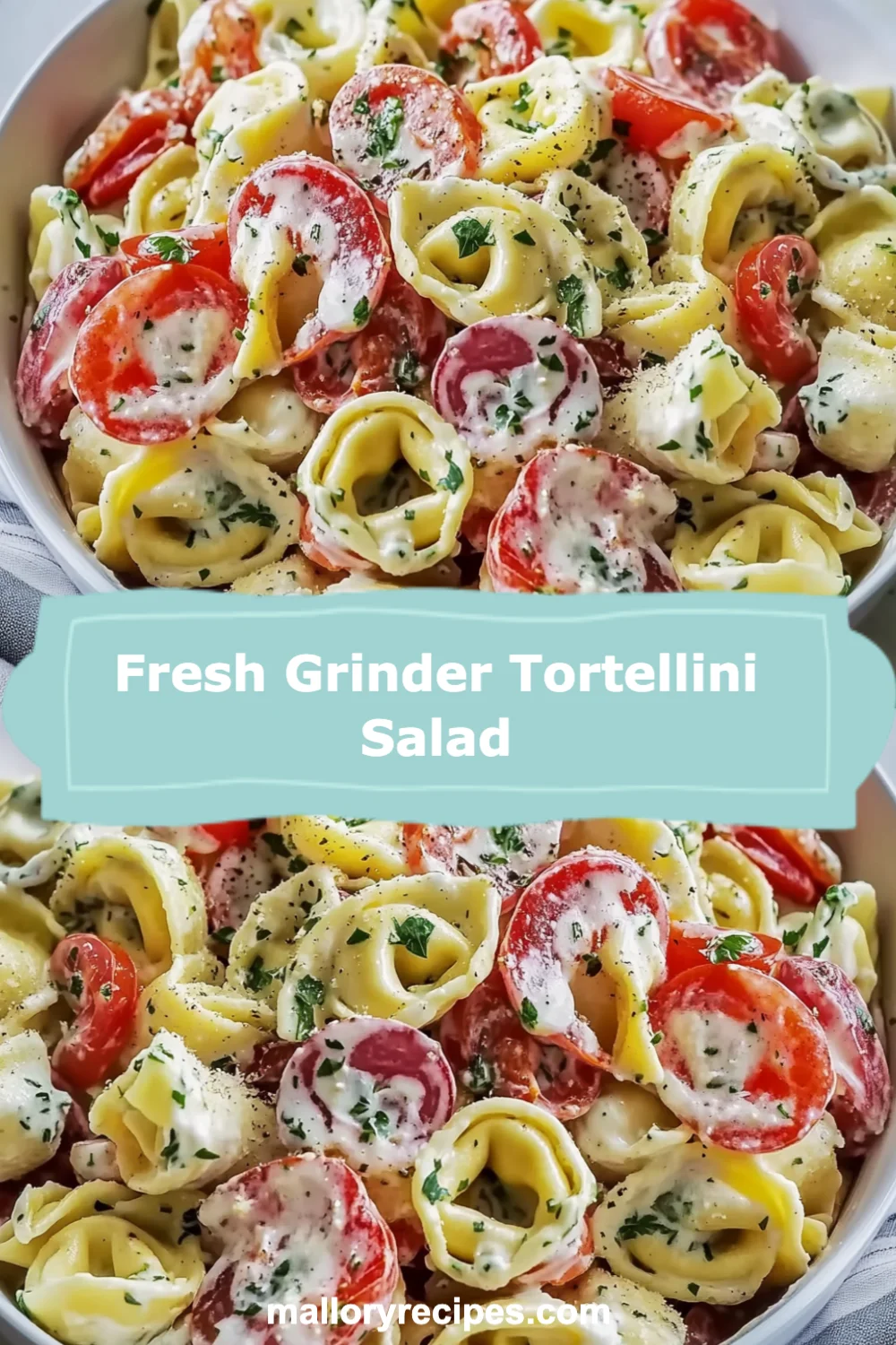 Fresh Grinder Tortellini Salad Recipe (Quick and Easy!)