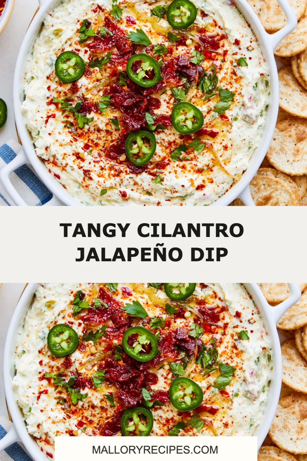 Deliciously Tangy Cilantro Jalapeño Dip Recipe for Your Next Gathering!