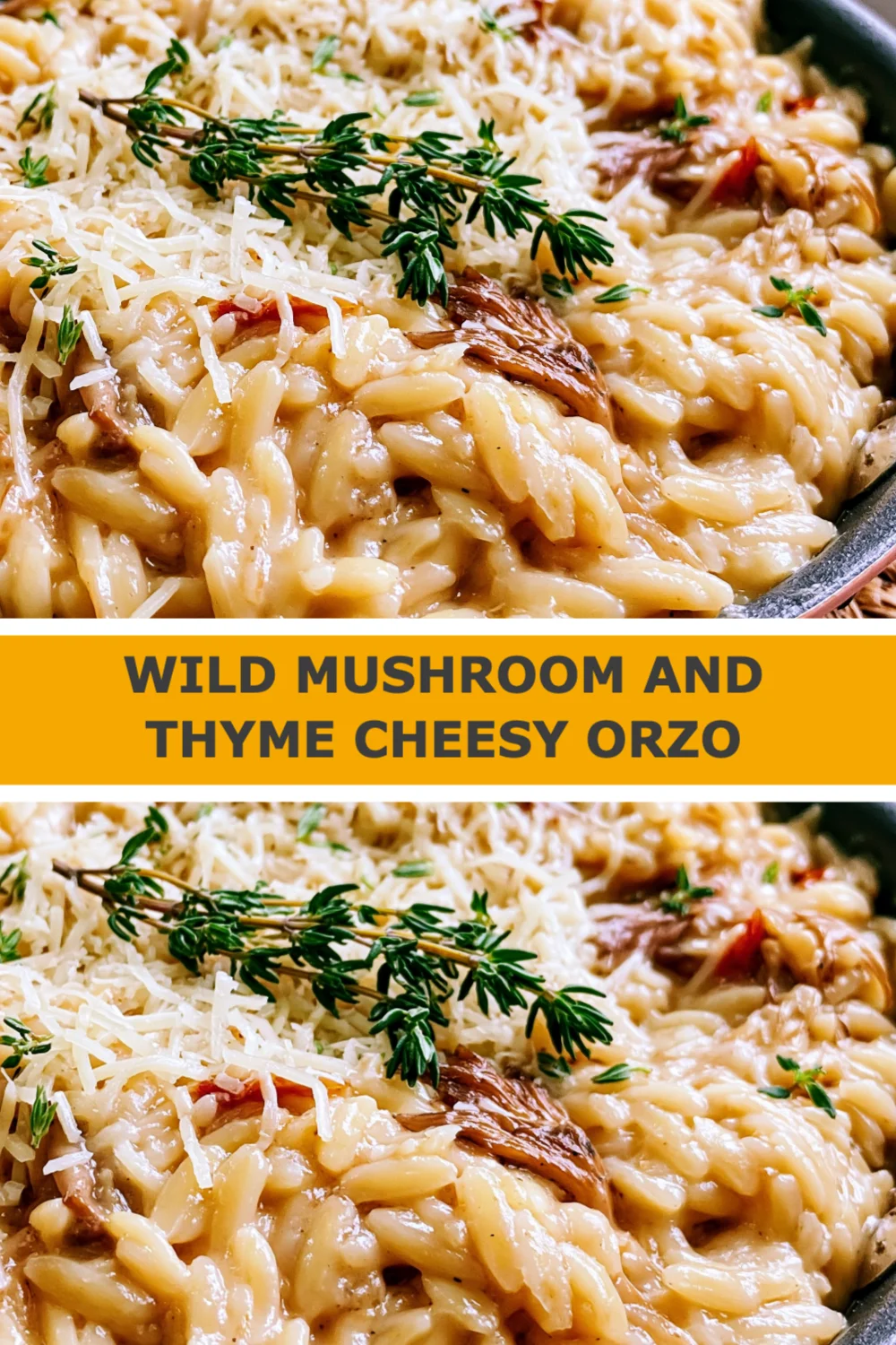Creamy Wild Mushroom and Thyme Cheesy Orzo - A Comforting Weeknight Delight!