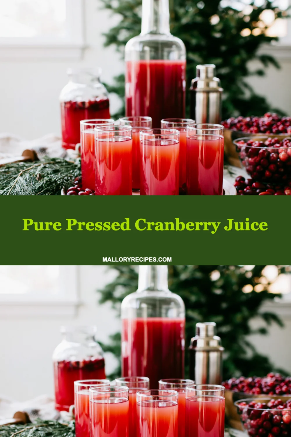 Refreshingly Delicious Pure Pressed Cranberry Juice Recipe You Can Make at Home!